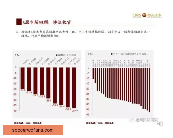 世界杯竞猜盘口深度解析与精准赛果预测策略指南